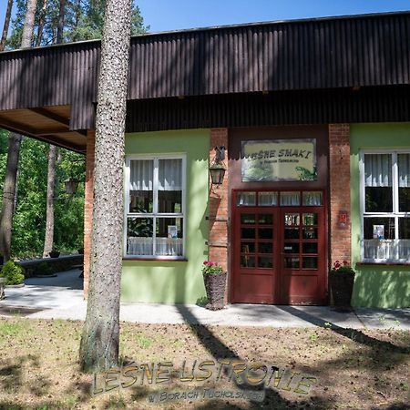 "Lesne Ustronie" Vila Byslaw Exterior foto